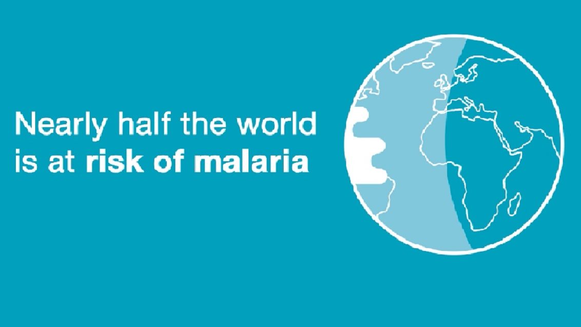World Malaria Day Infographic